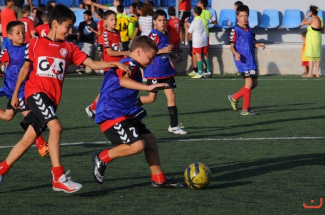 Γιορτή Ακαδημιών Πανακρωτηριακού ΙΟΥΝ.  2013_3